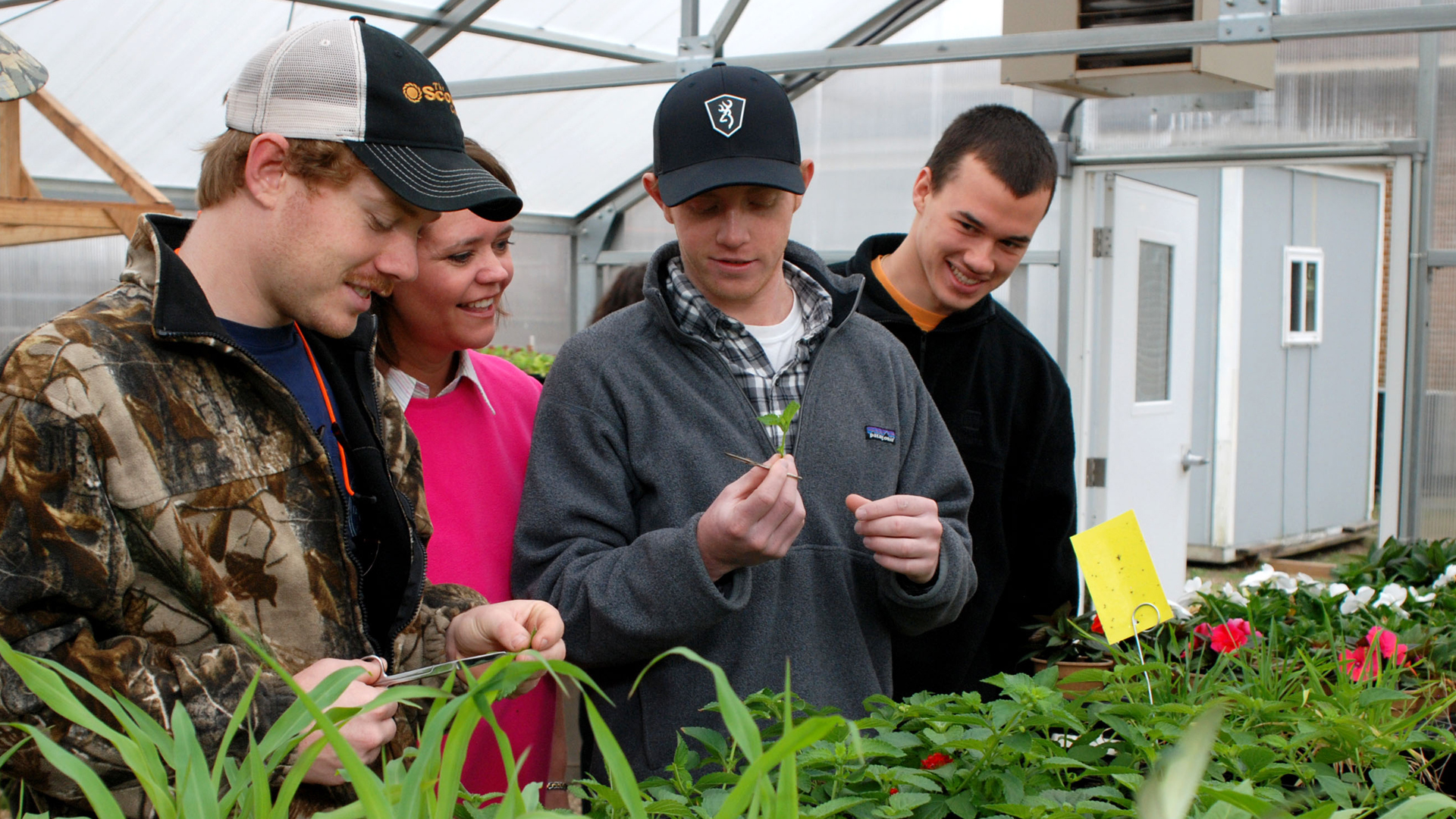 Students in the greenhouse looking at plant